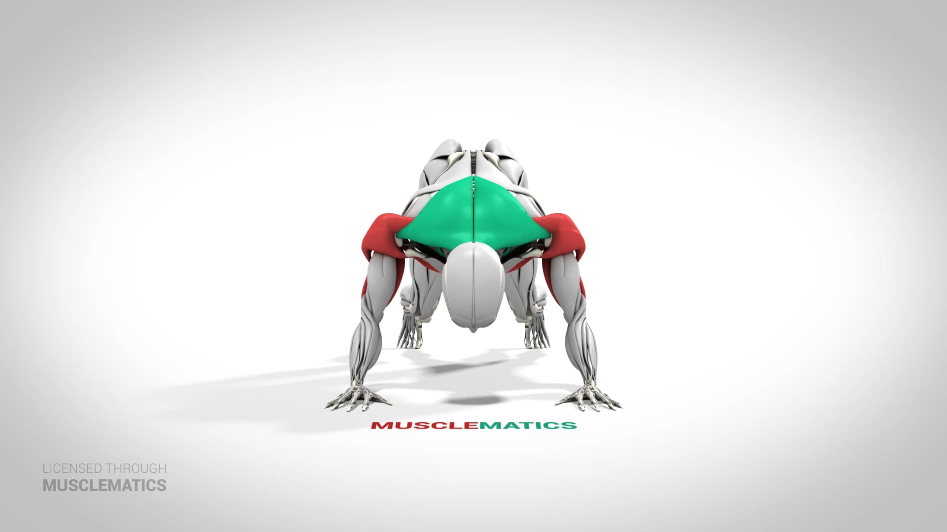 Push-Back Push-Up - (View 3)