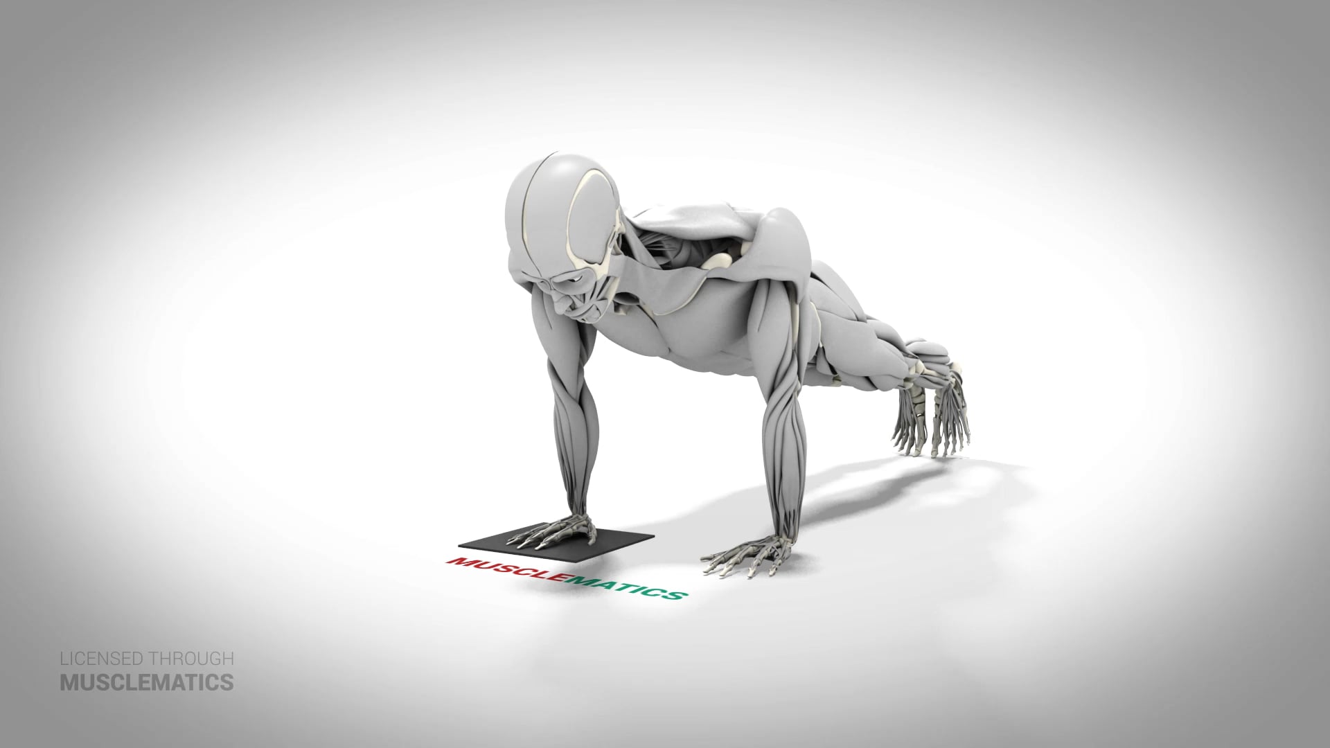 Sliding Side-To-Side Push-Up - (All Views) - LEFT