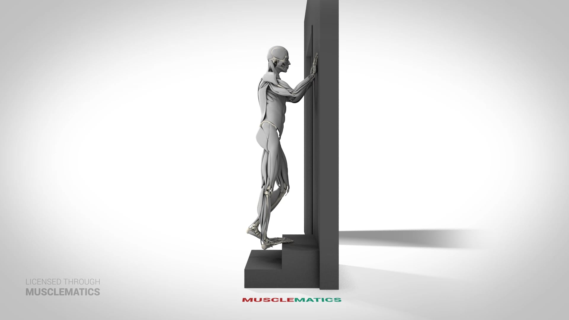 Single-Leg Elevated Calf Raise - (View 2)