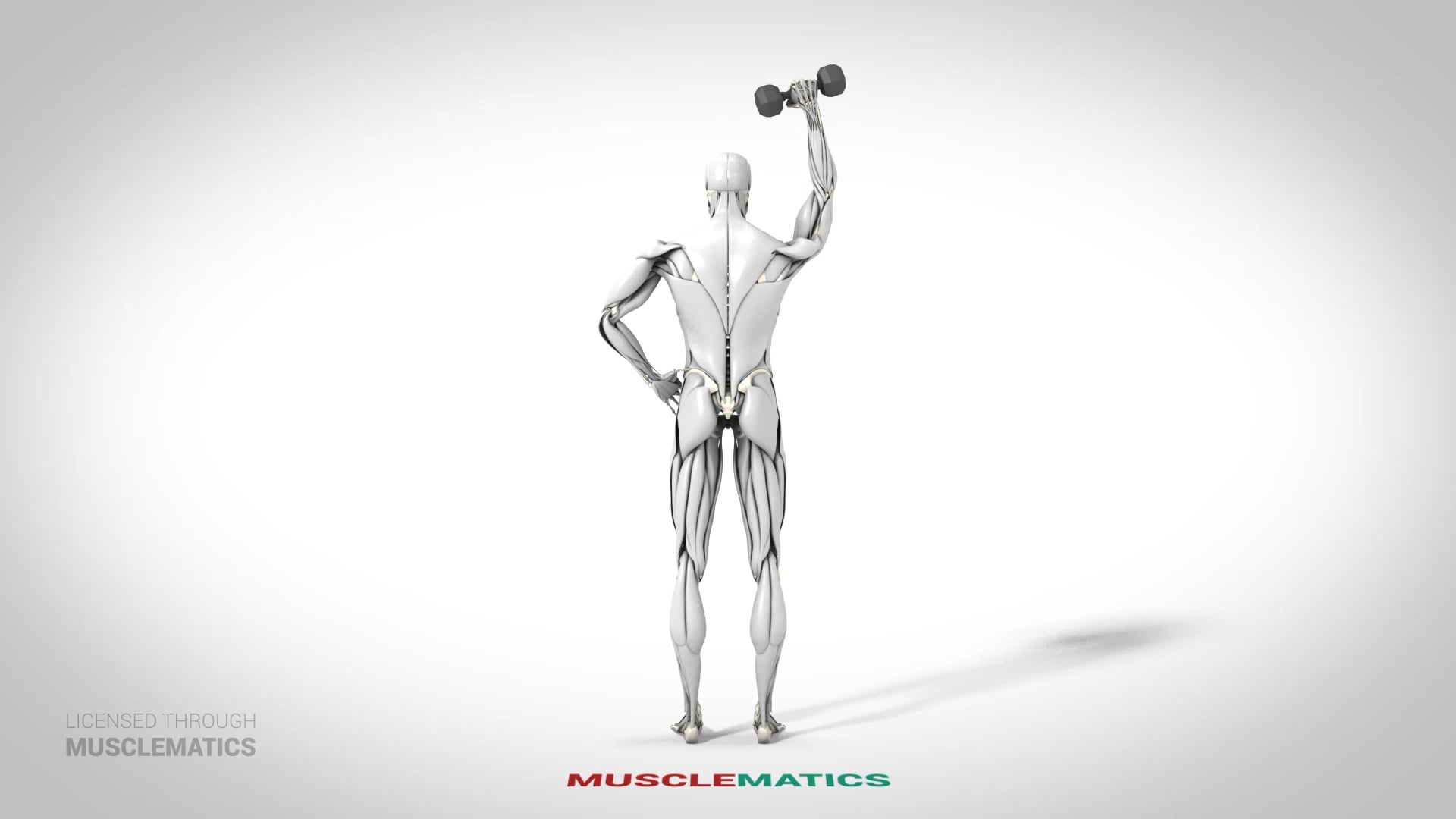 One-Arm Dumbbell Triceps Extensions - (View 3)