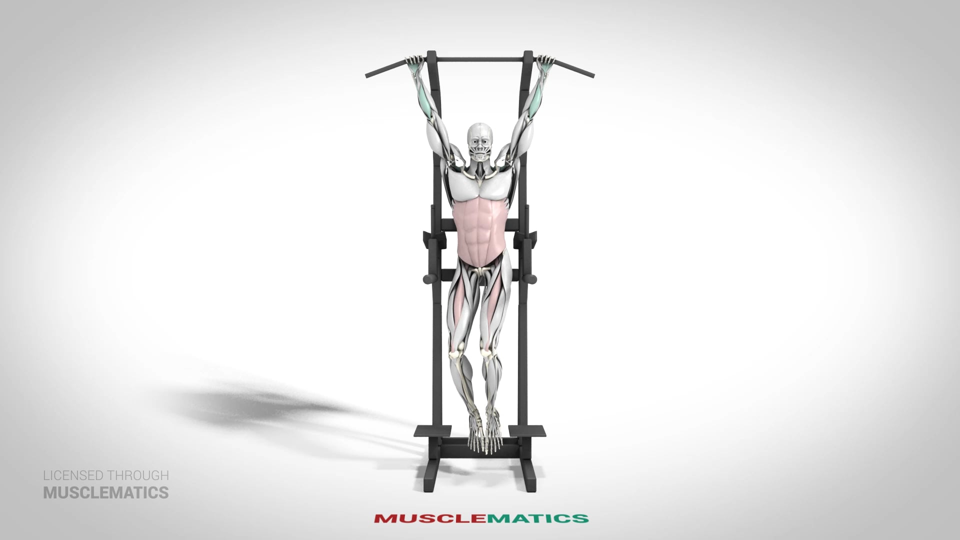 Oblique Hanging Leg Raise - (View 1) - LEFT