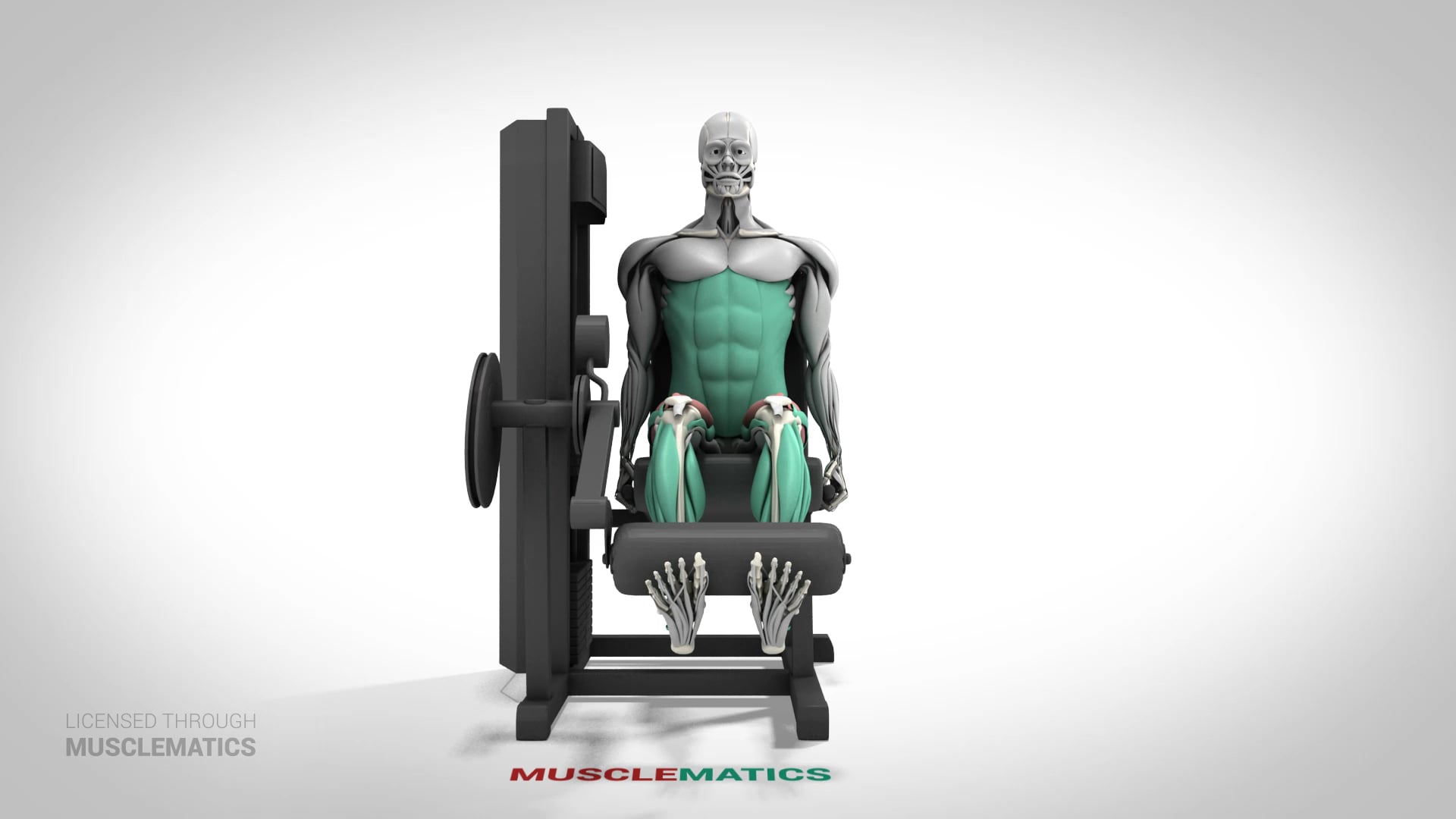 Leg Extensions - (View 1)