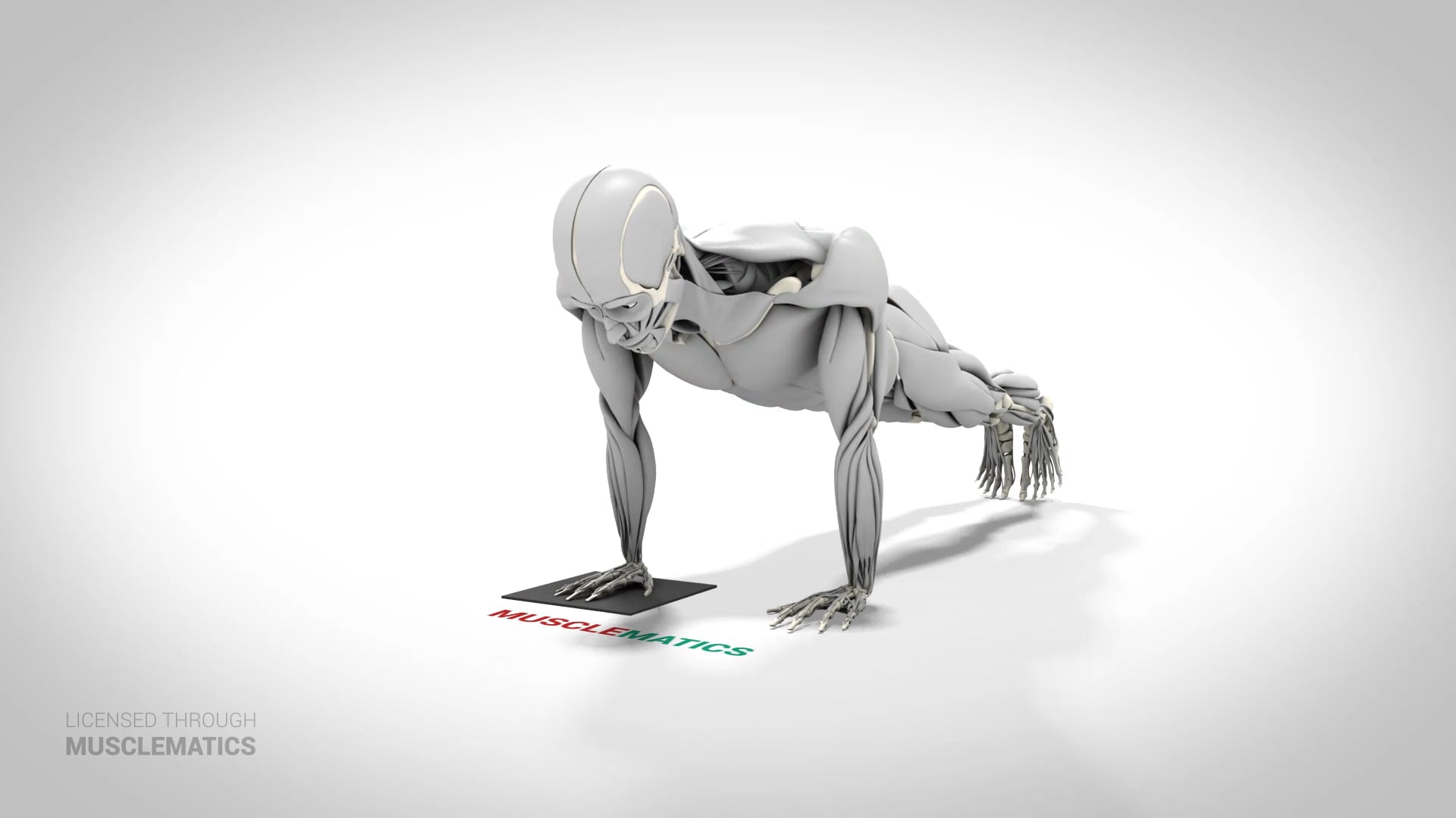 Sliding Side-To-Side Push-Up - (View 1) - LEFT