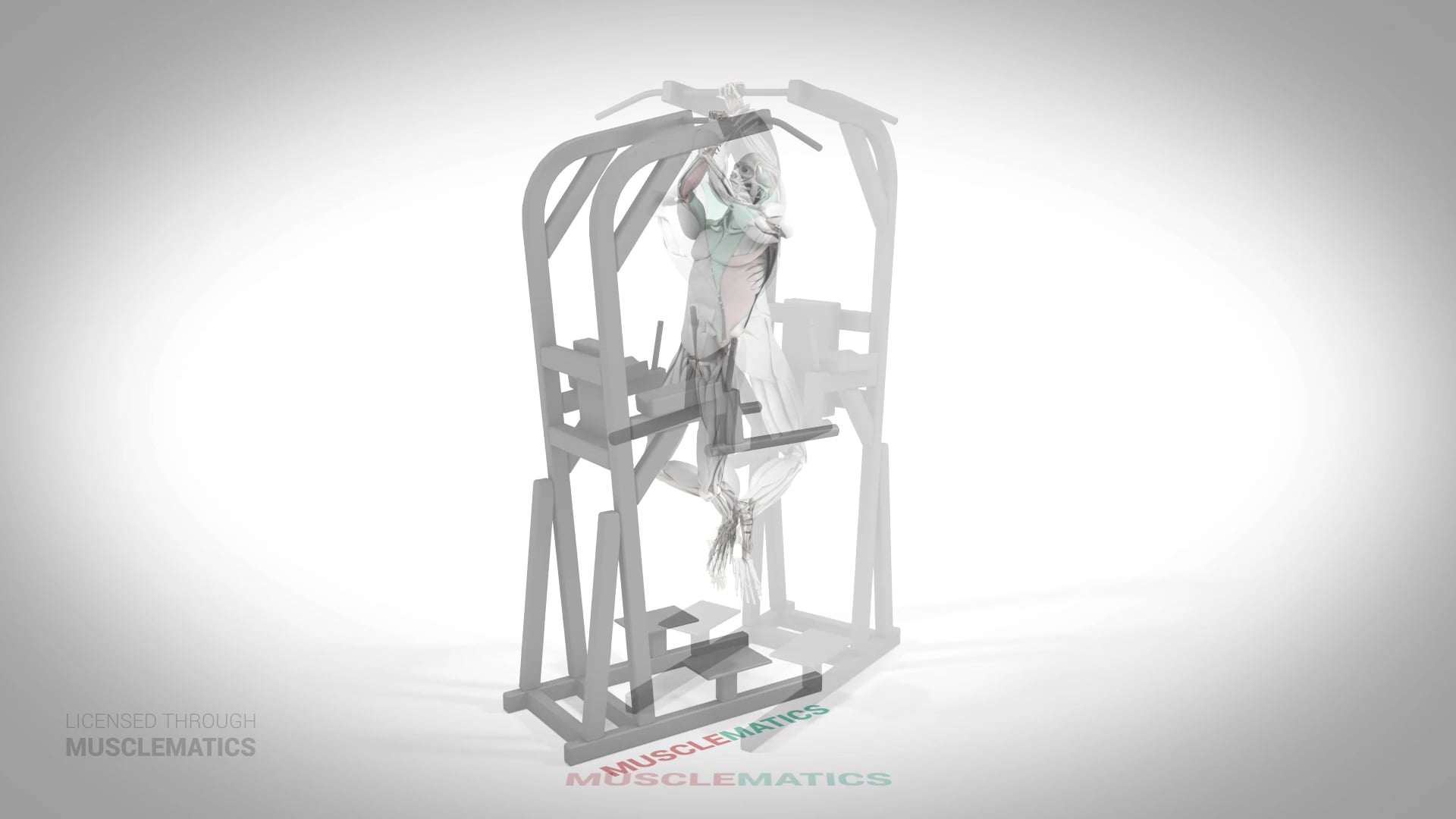 One-Arm Self-Assisted Pull-Up - (All Views)