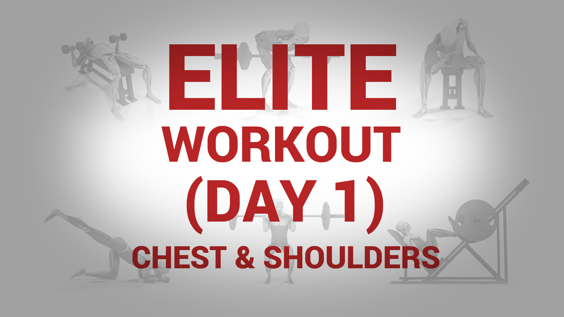 Elite Workout (Day 1) - CHEST & SHOULDERS
