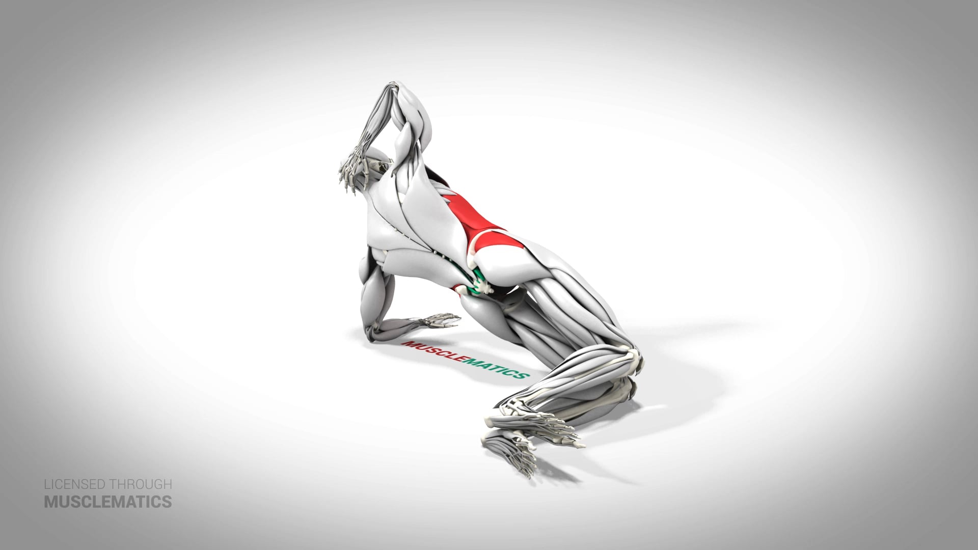 Side Plank On Knees - (All Views)