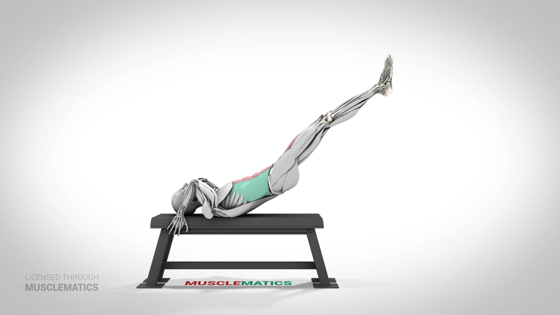 Dragon Flag - (View 1)