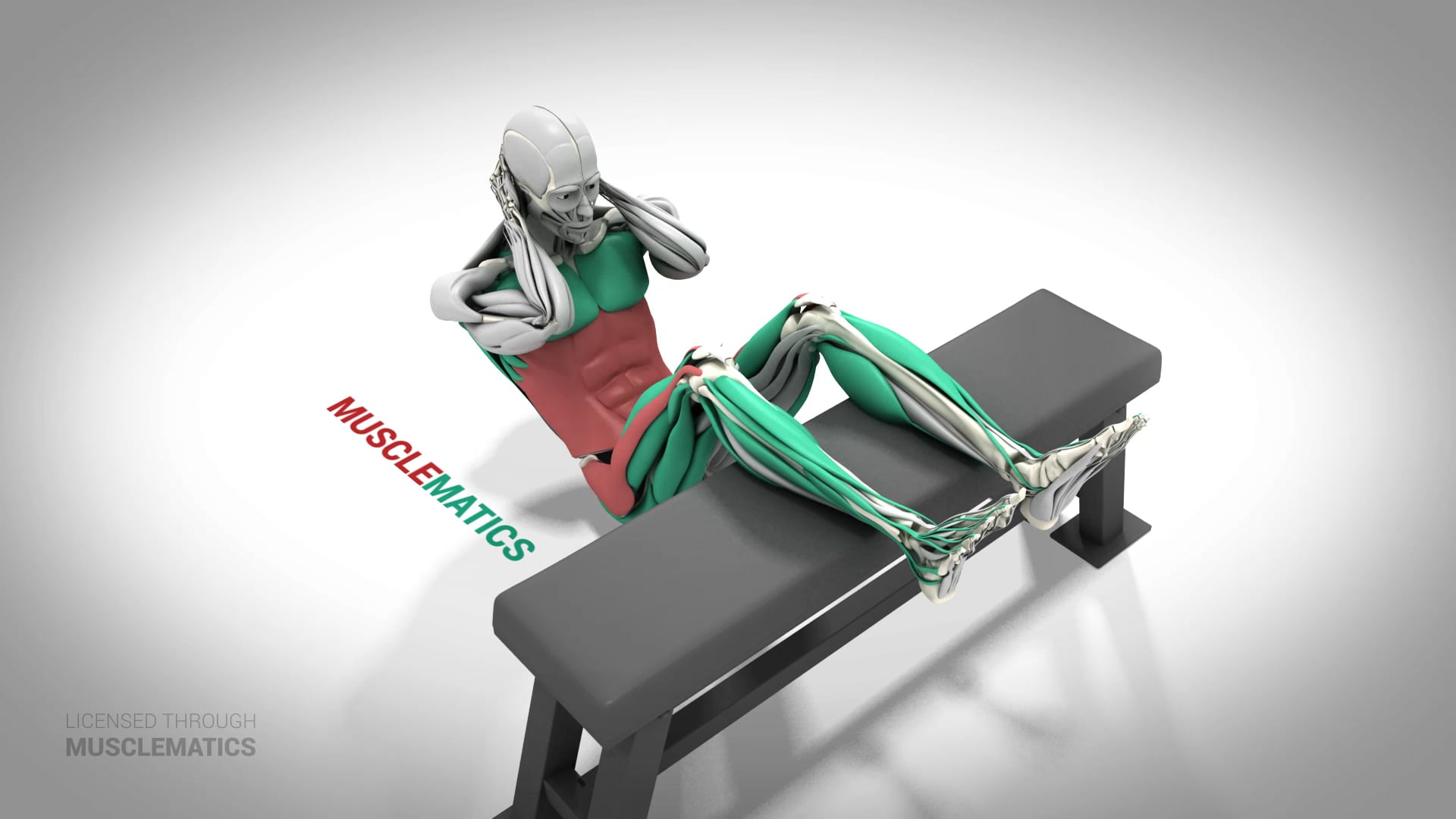 Calves Over Bench Sit-Ups - (All Views)