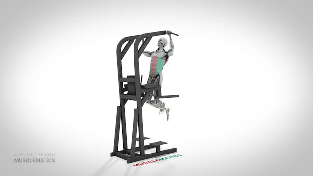 Side-To-Side Pull-Up - (View 2) - LEFT