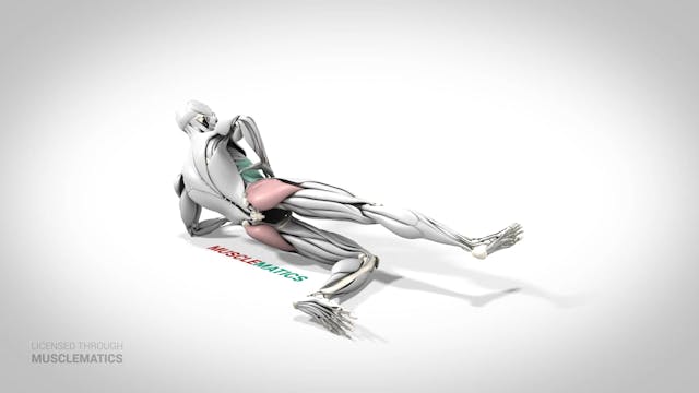 Side-Lying Hip Raise - (View 3)