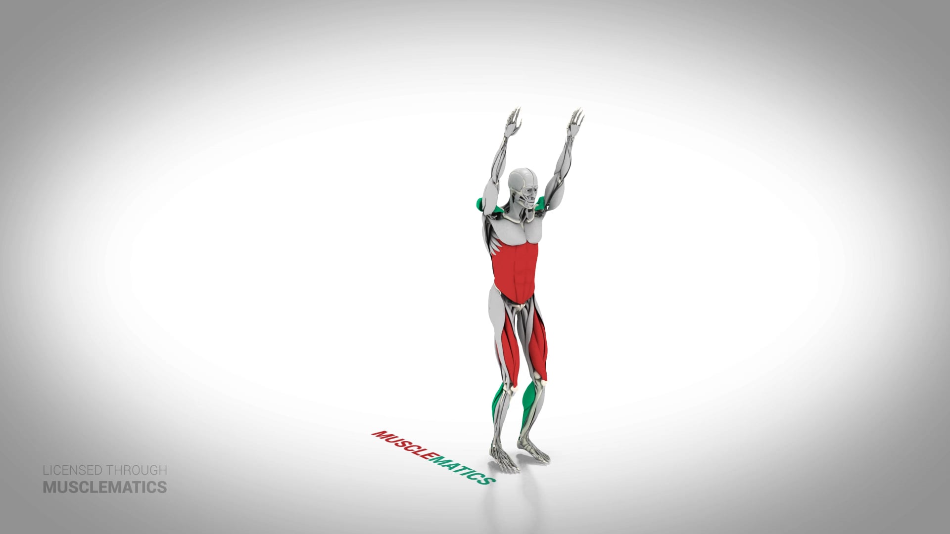 Jumping Sit-Up - (All Views)