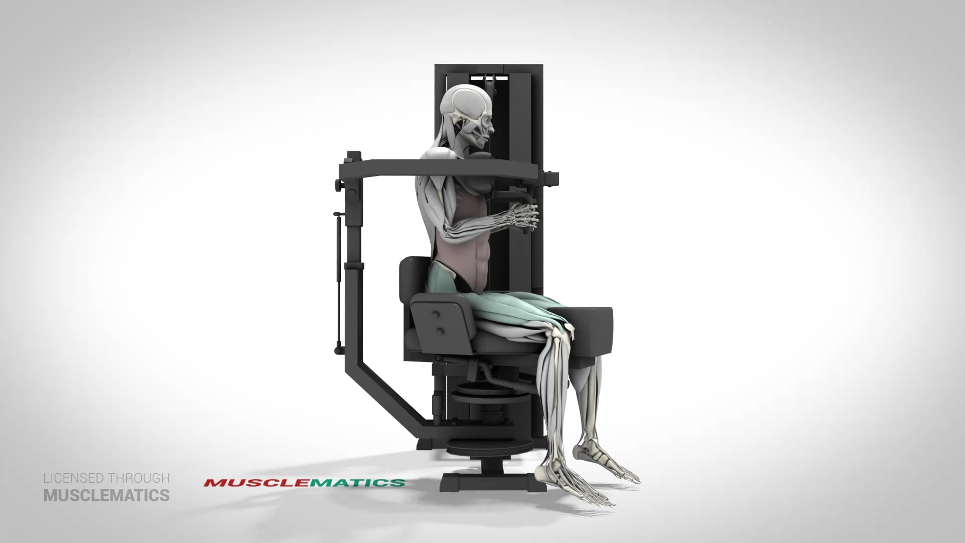 Machine Trunk Rotations - (View 2)