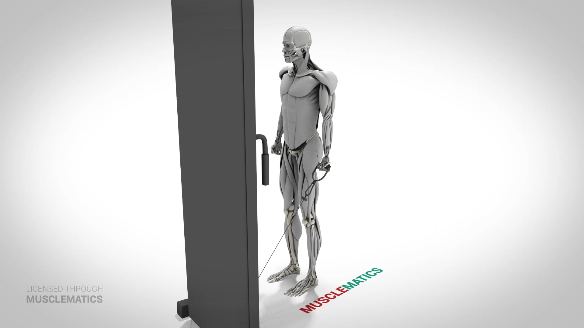 Low-Pulley Curls - (View 2) - LEFT