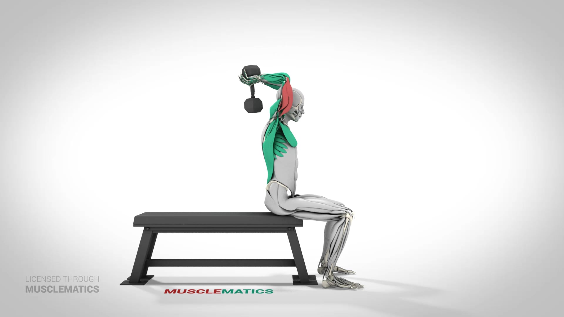 Seated Dumbbell Triceps Extensions - (View 1)