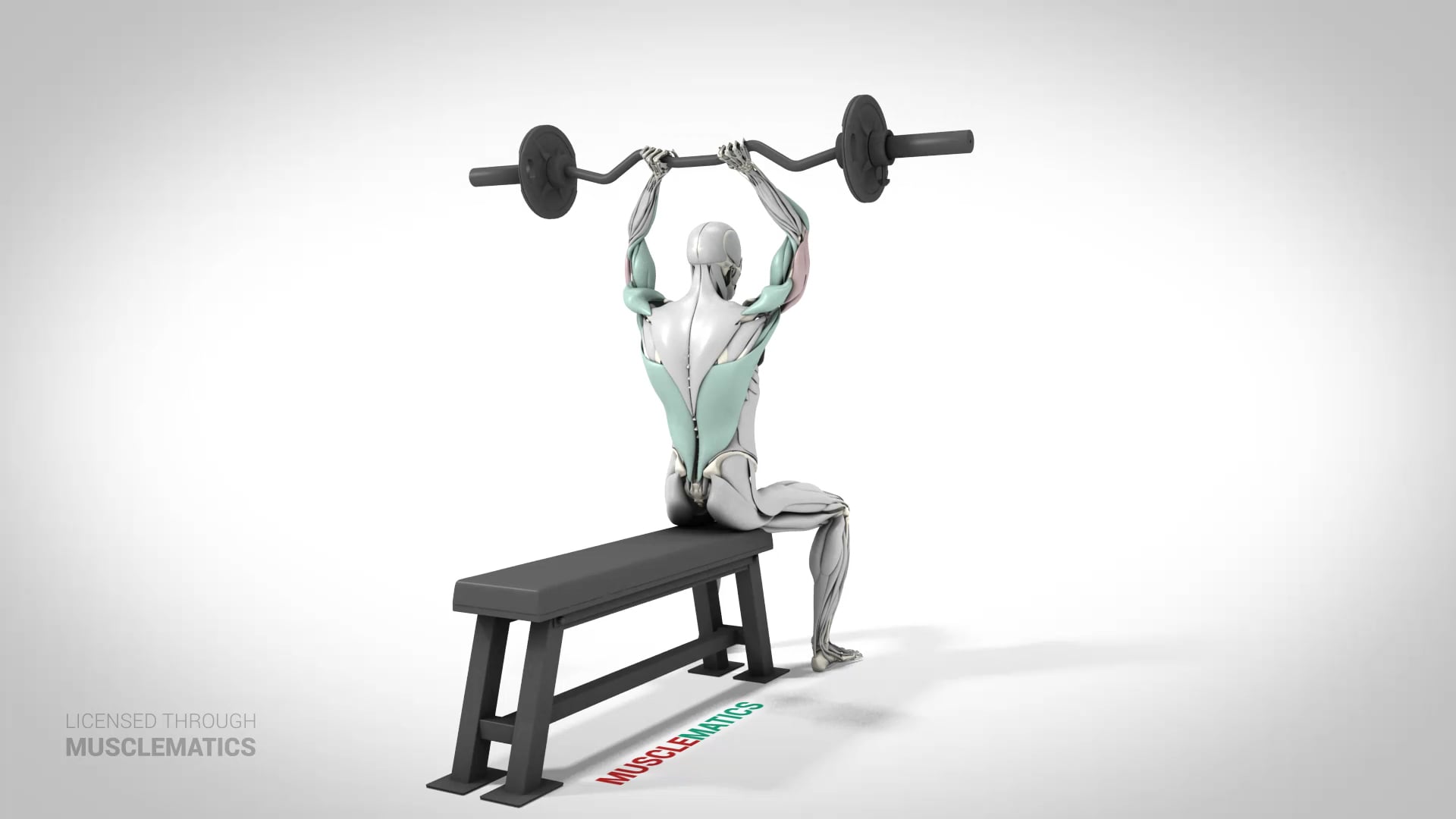 Seated E-Z Bar Triceps Extensions - (View 3)