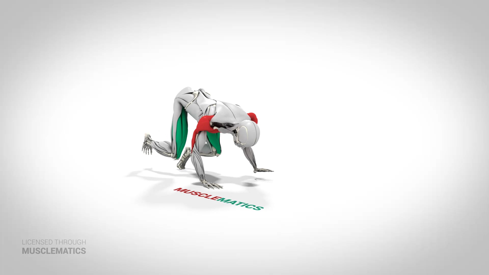 Bear Crawl - (View 2)