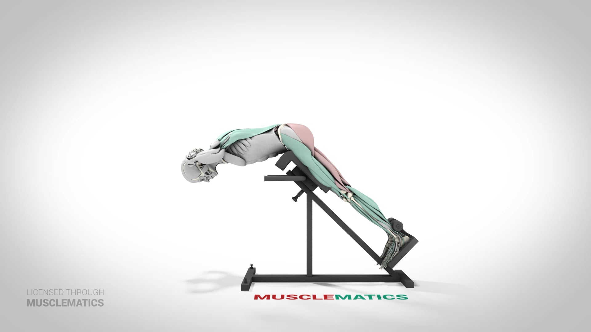 Back Extensions - (View 1)