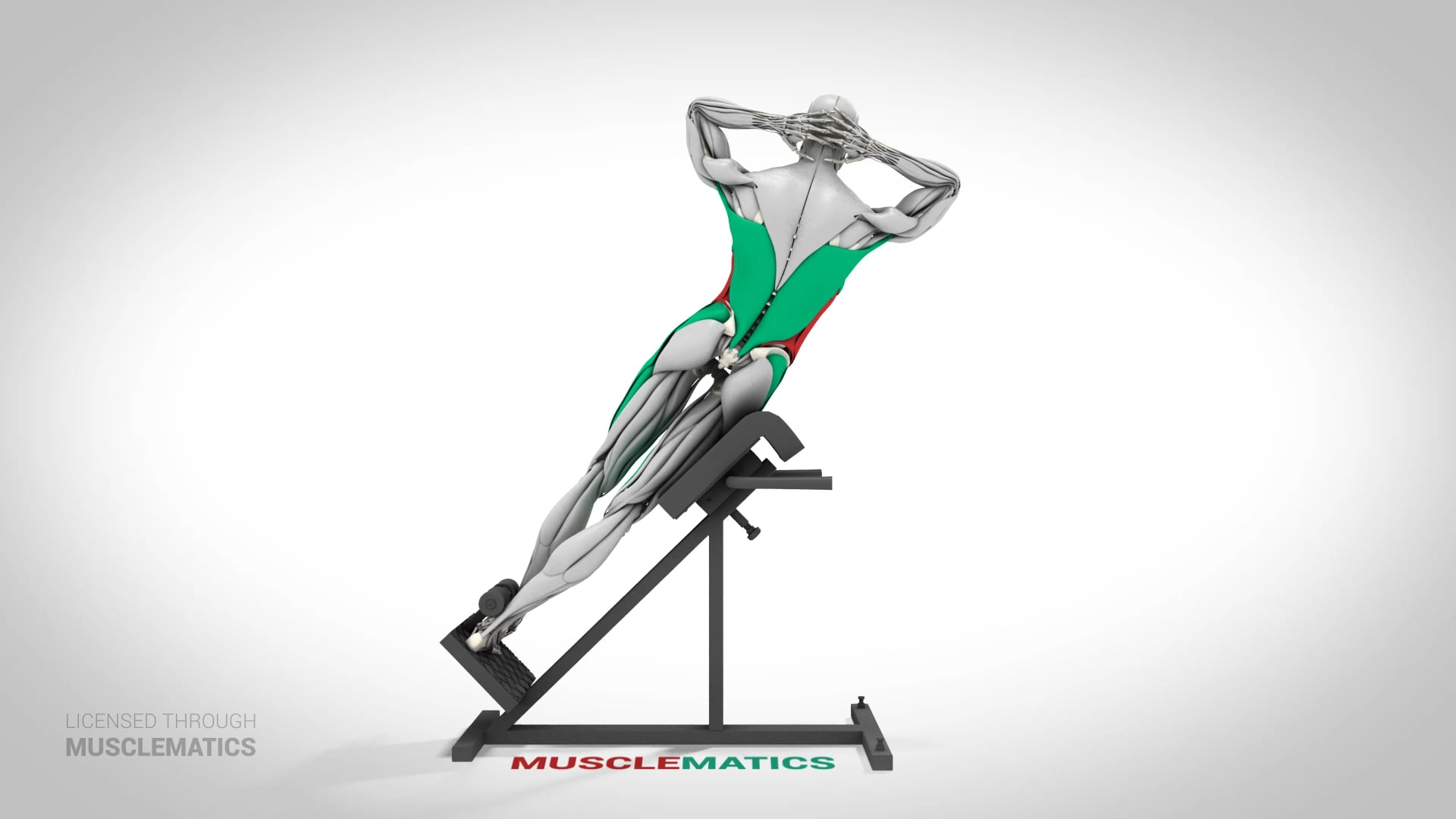 Roman Chair Side Bends - (View 3) - LEFT