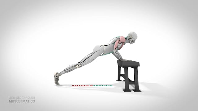 Incline Push-Up - (View 2)