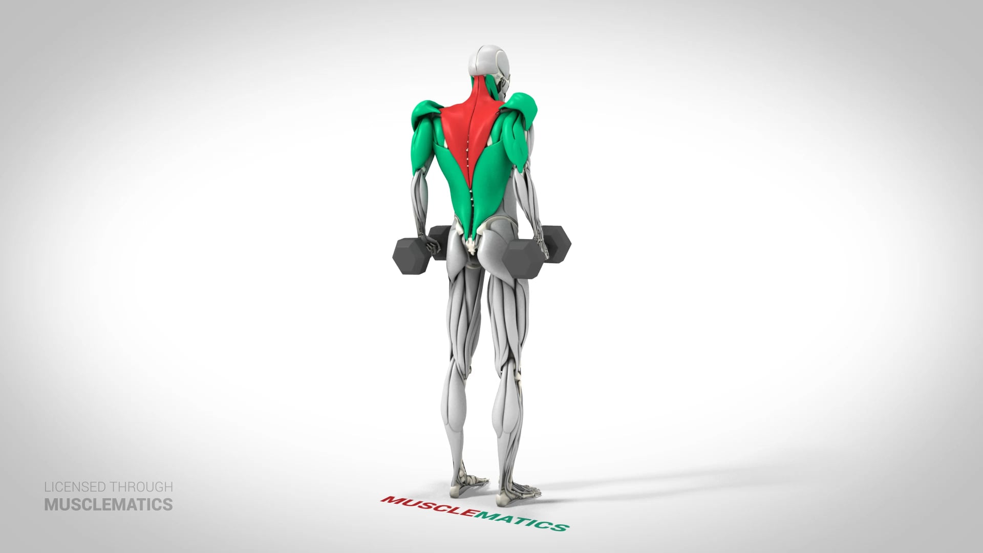 Dumbbell Shrugs - (View 3)