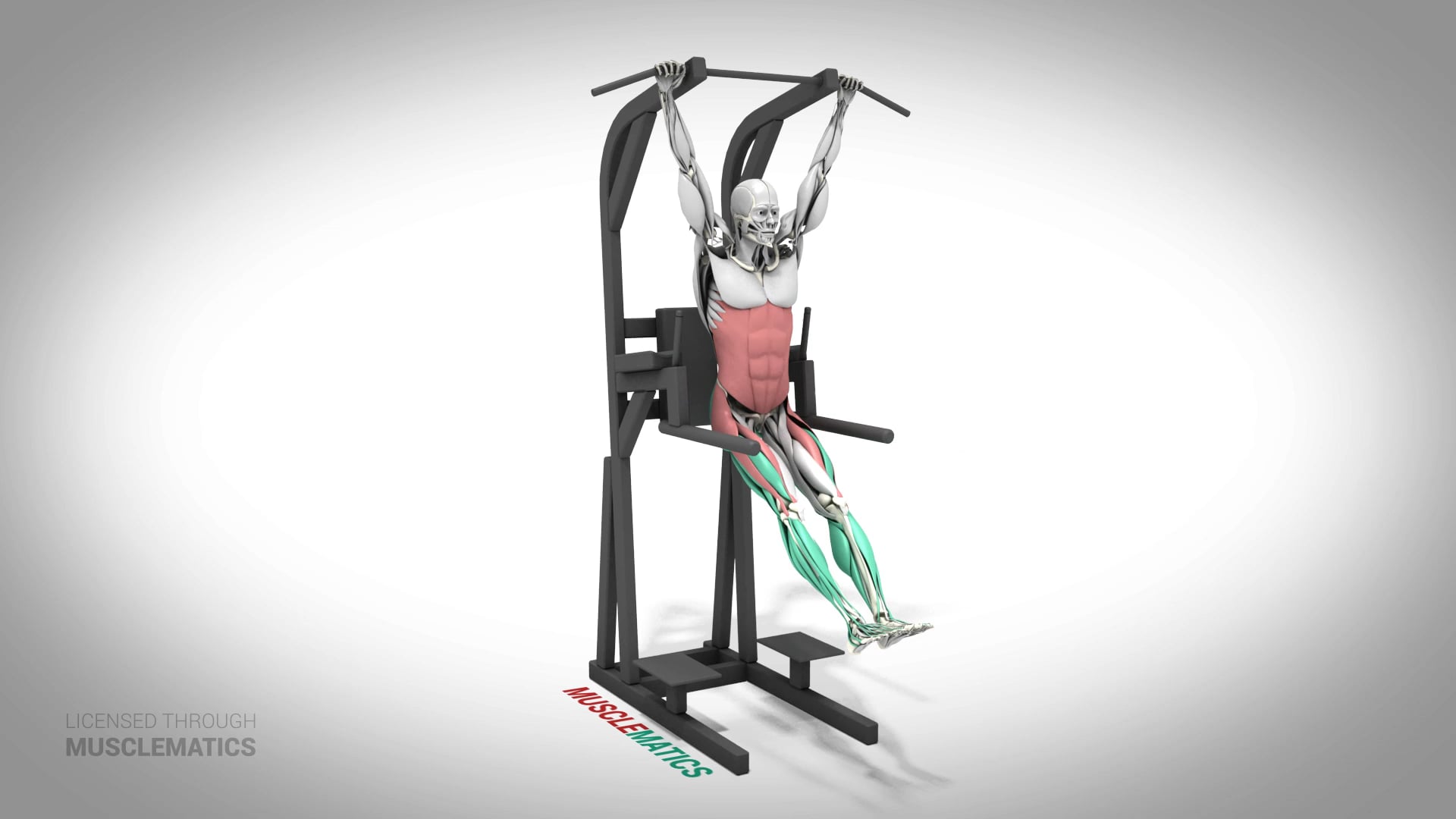 Hanging Leg Raises (Straight Leg) - (All Views)