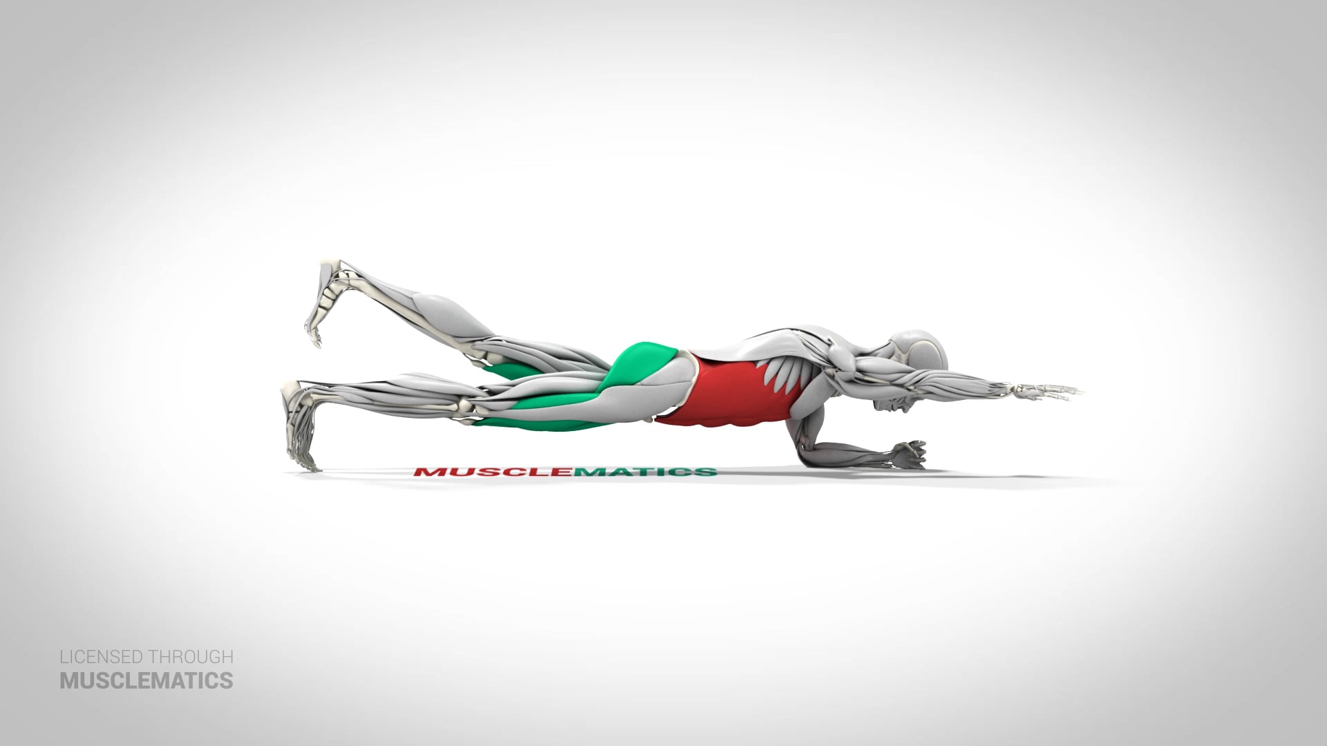 Rotating Two-Point Plank - (View 1)