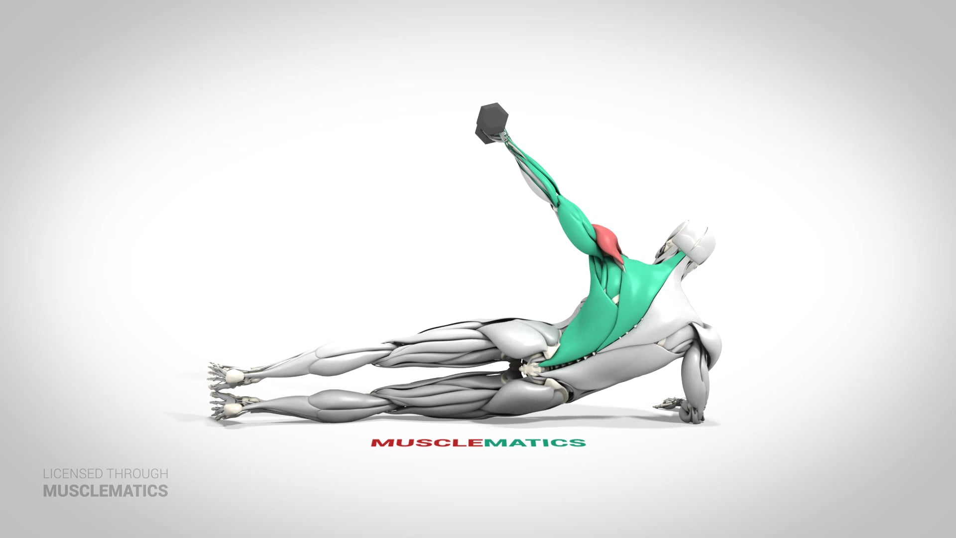 Side-Lying Lateral Raises - (View 3) - LEFT