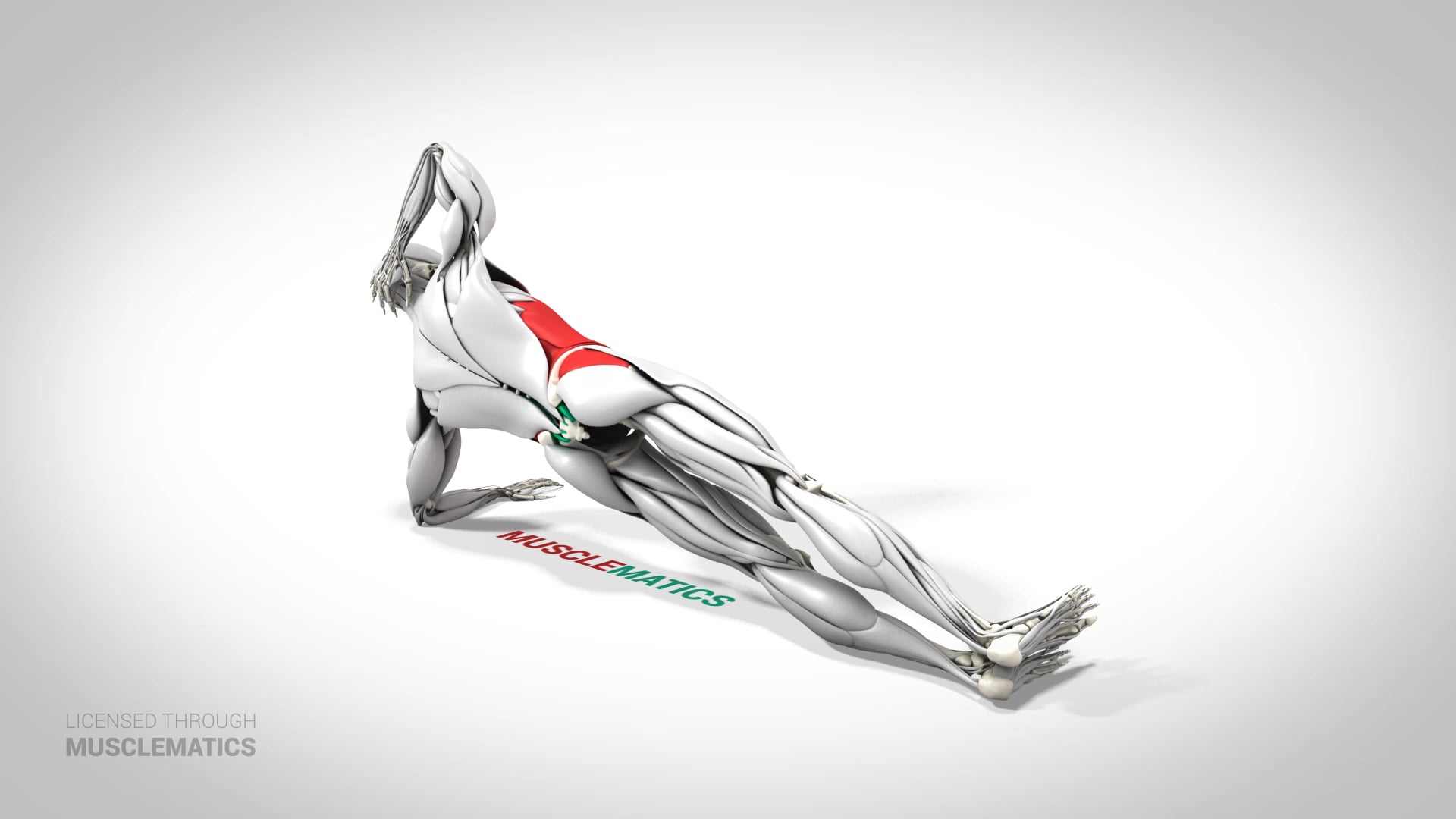 Side Plank - (View 3)