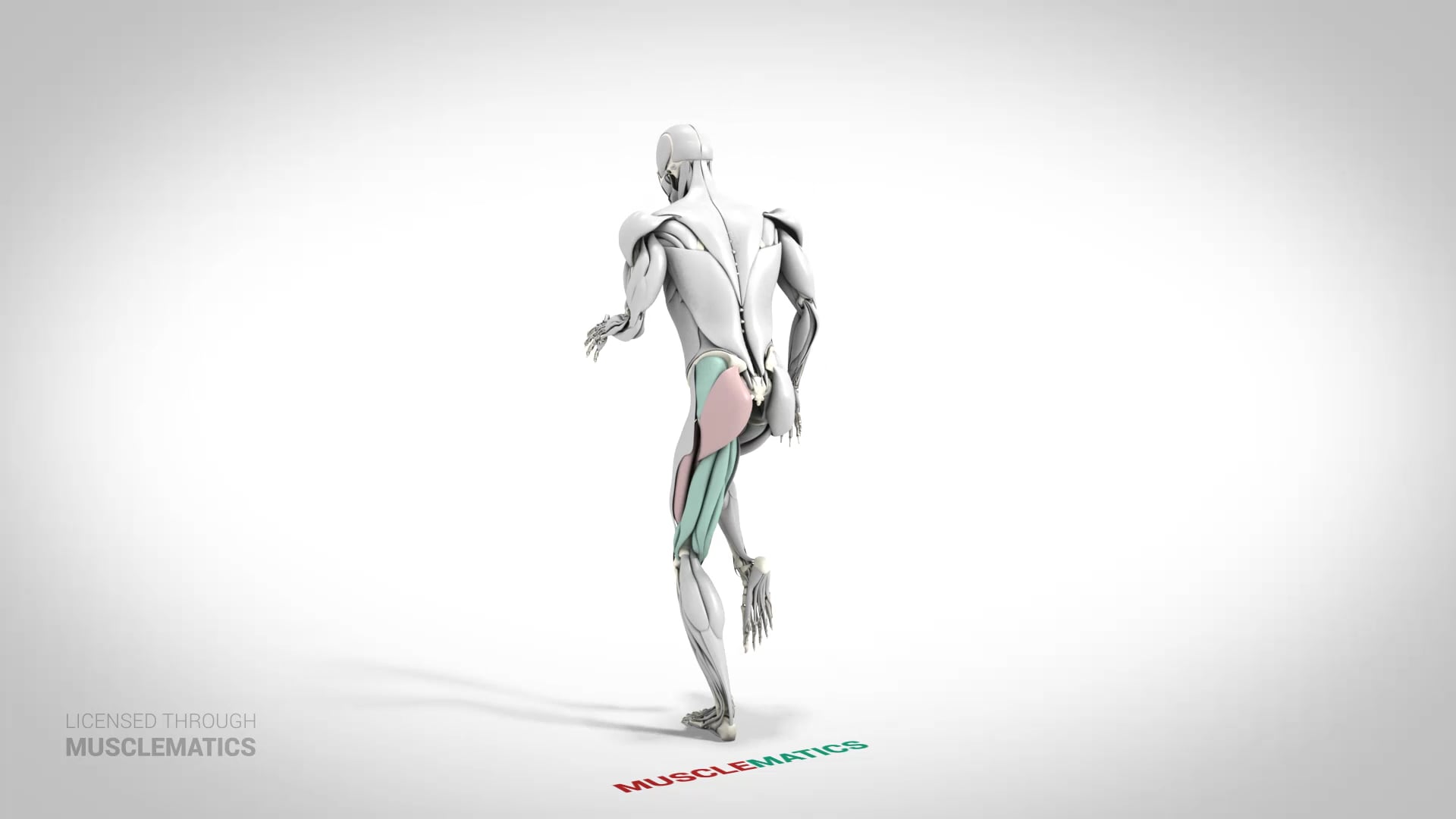 Skater Squat With Knee Raise - (View 3) - LEFT