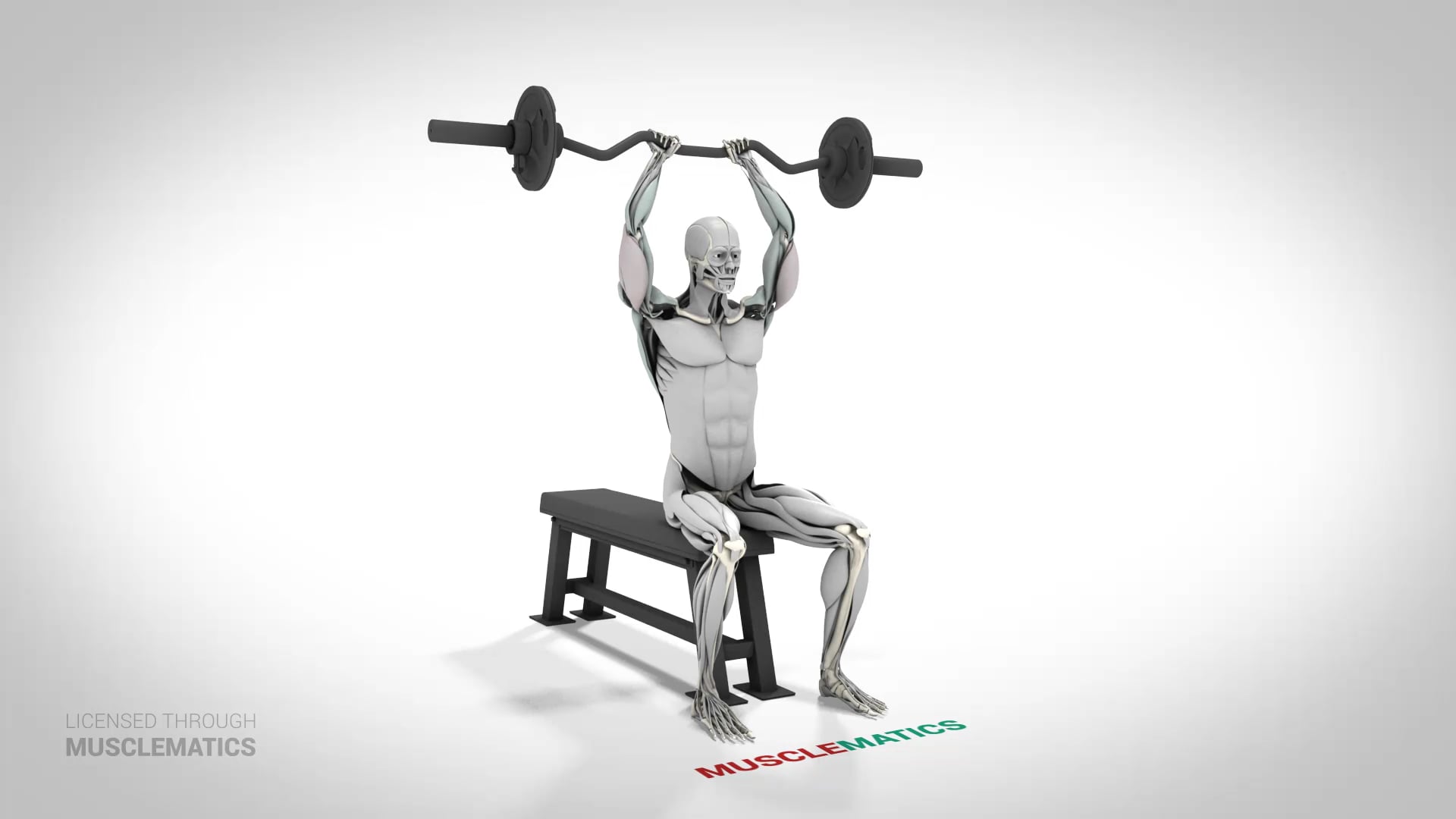 Seated E-Z Bar Triceps Extensions - (View 2)
