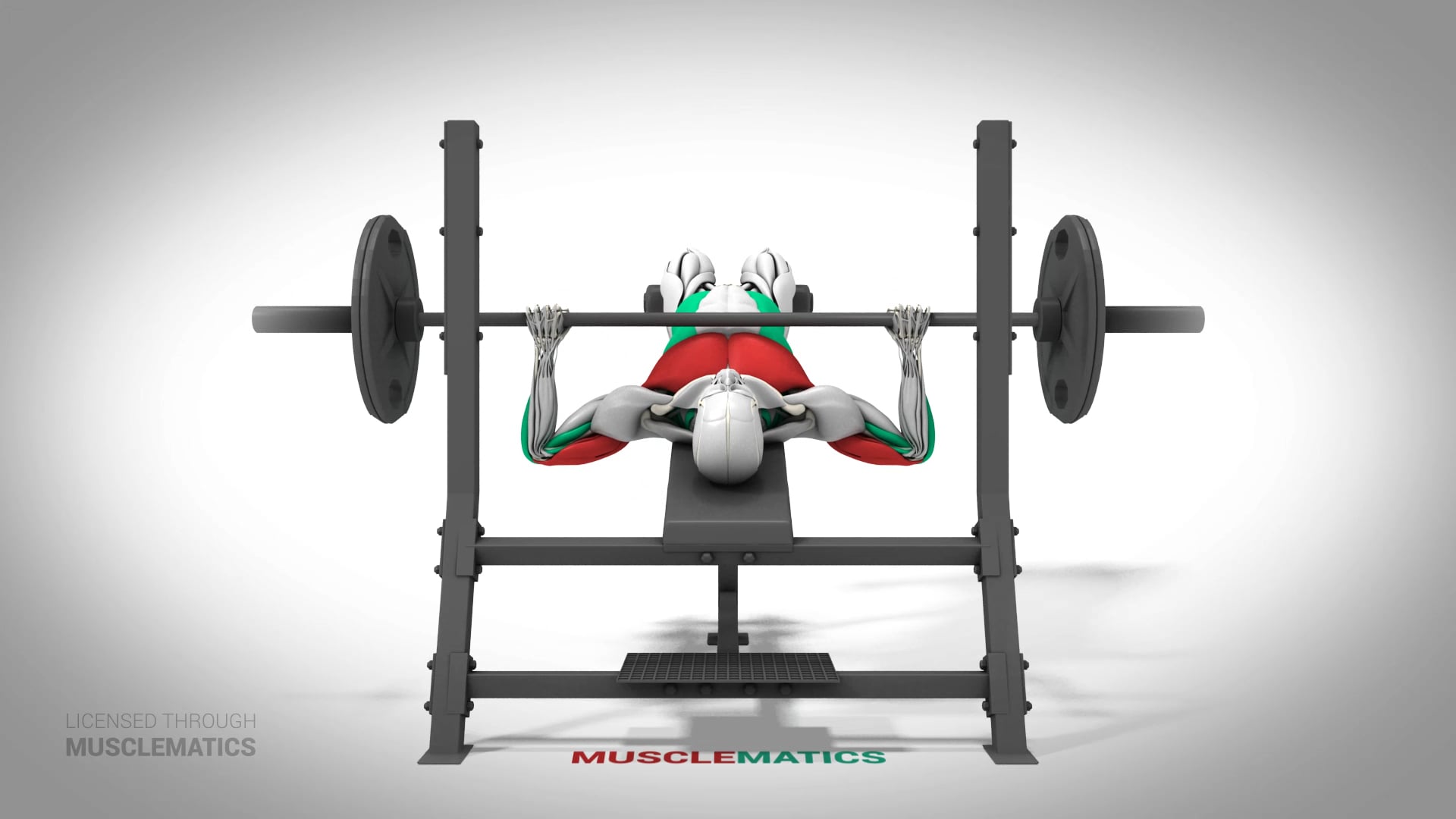 Decline Presses - (All Views)