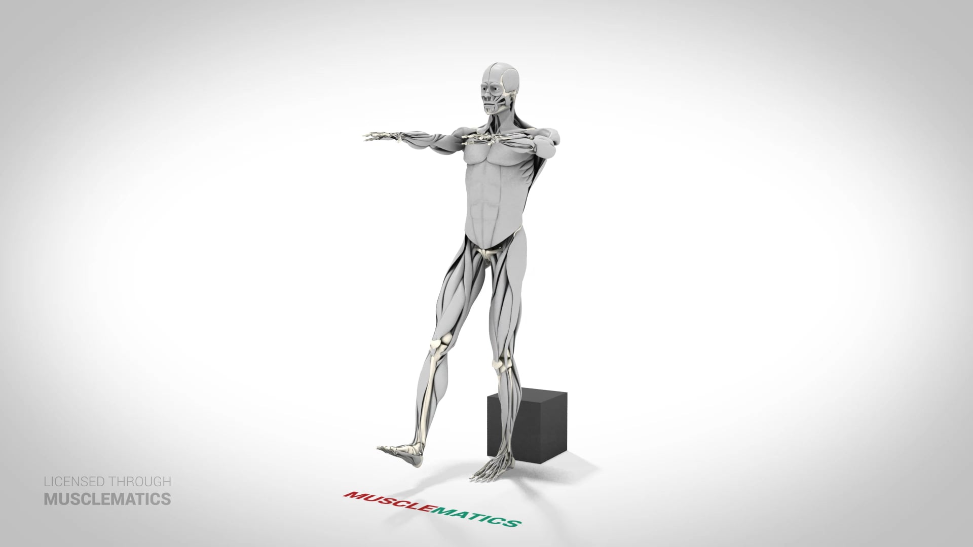 Single-Leg Low-Box Squat - (View 1) - LEFT