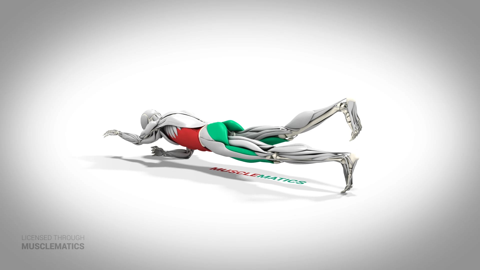 Rotating Two-Point Plank - (All Views) - LEFT