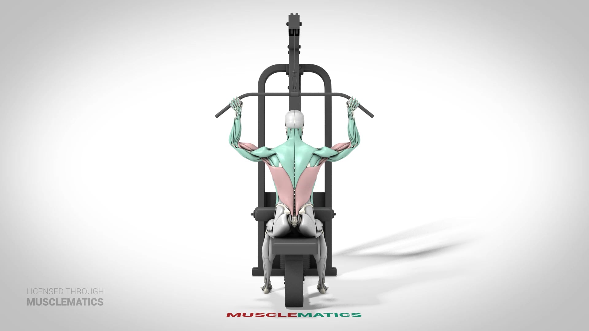 Back Lat Pull-Downs - (View 1)