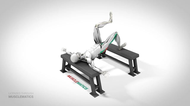 Single-Leg Elevated Hip Thrust - (Vie...