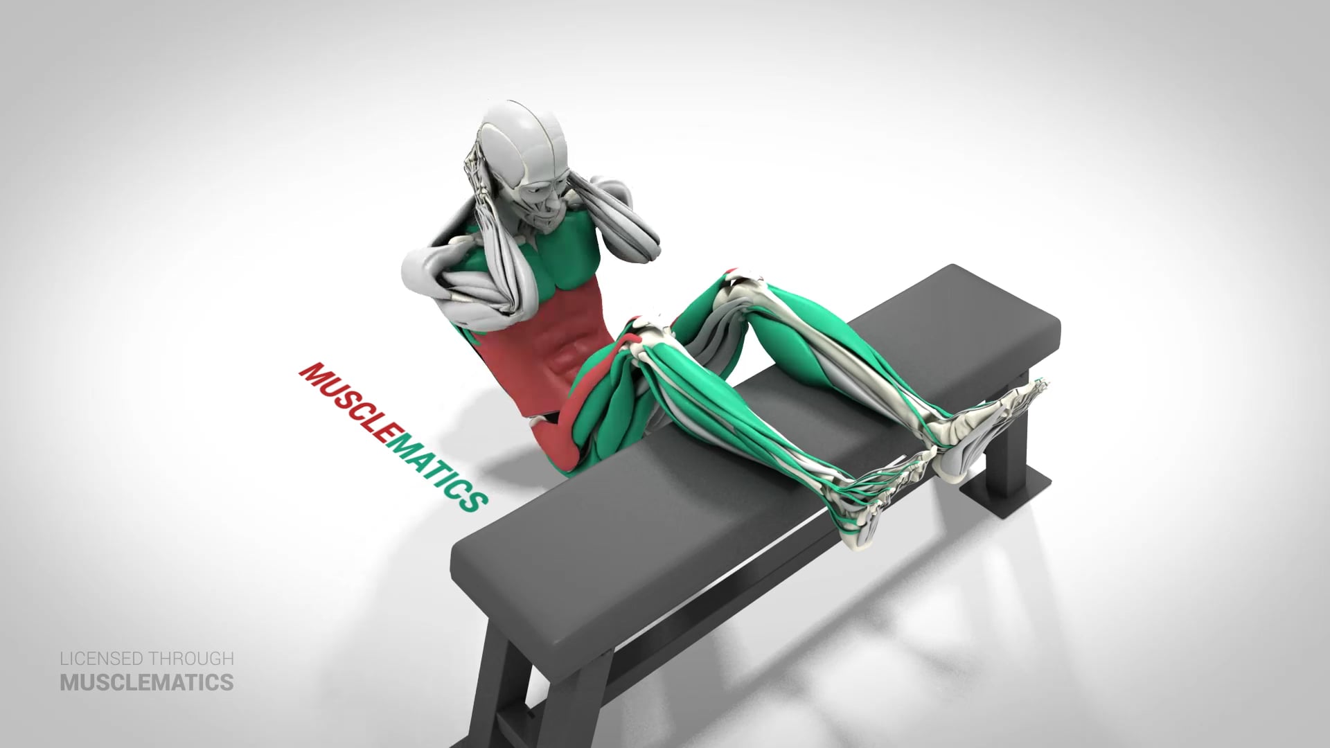 Calves Over Bench Sit-Ups - (View 3)