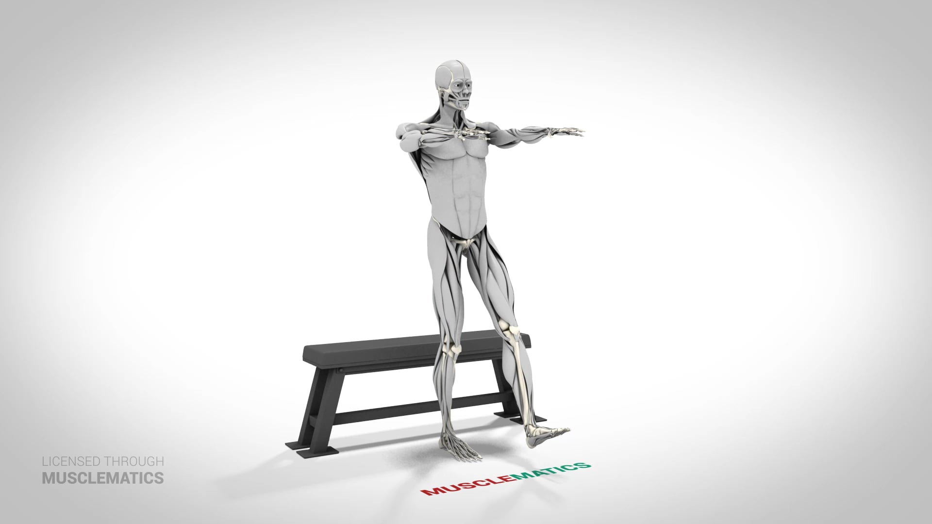 Single-Leg Box Squat - (View 1)