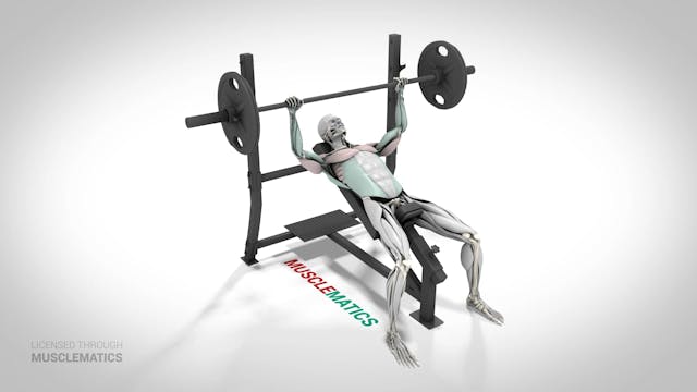 Incline Presses - (View 1)