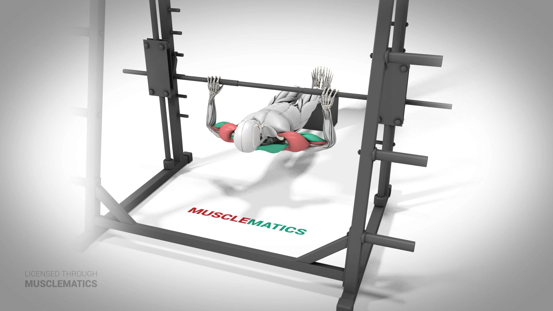 Decline Inverted Row - (All Views)