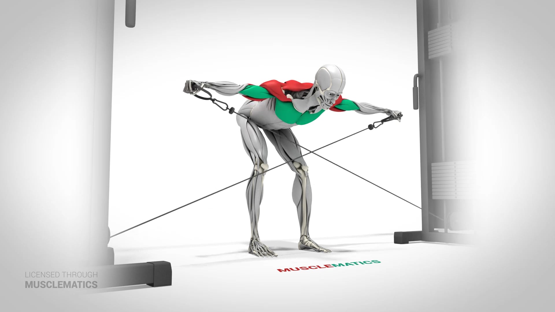 Low-Pulley Bent-Over Lateral Raises - (View 2)