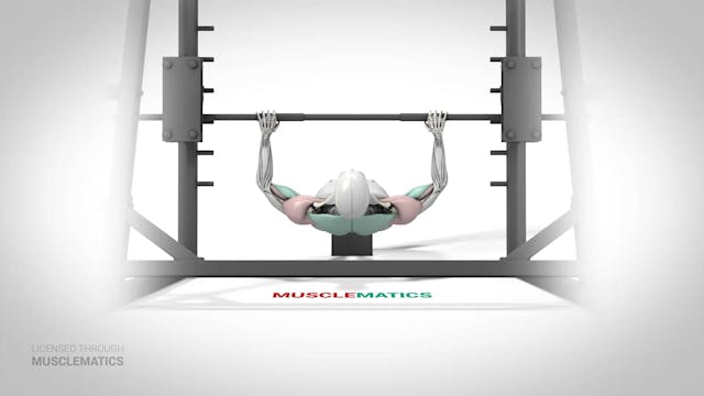 Decline Inverted Row - (View 1)