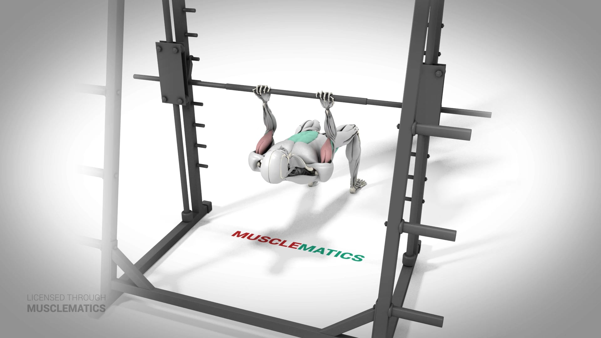 Bodyweight Inverted Curl With Bent Knees - (All Views)