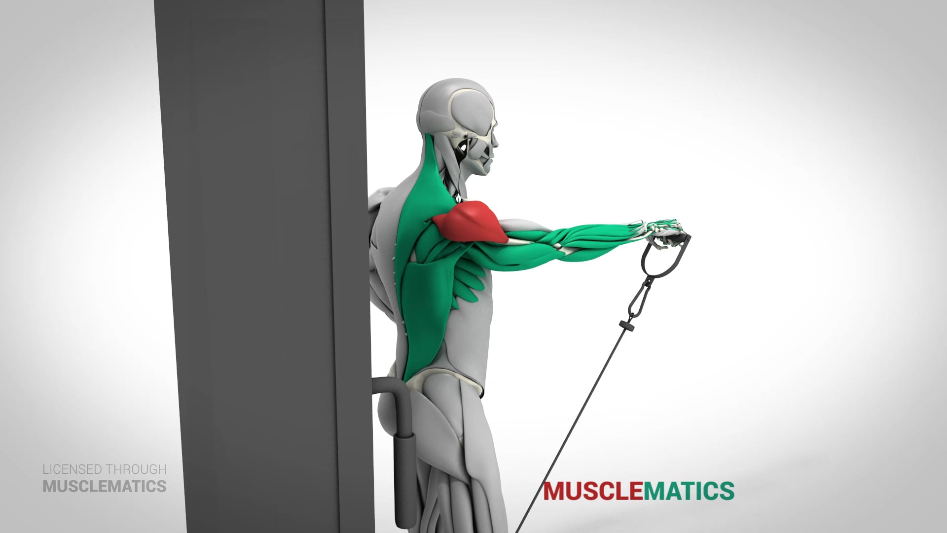 Low-Pulley Front Raises - (View 3)