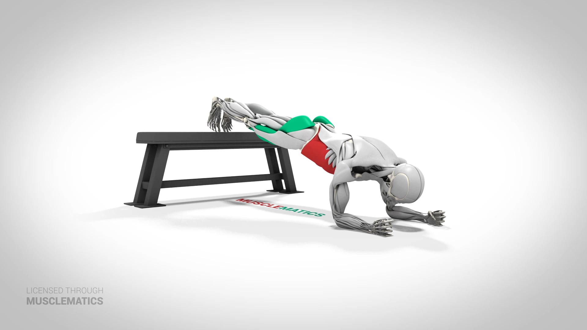 Decline Plank - (View 3)