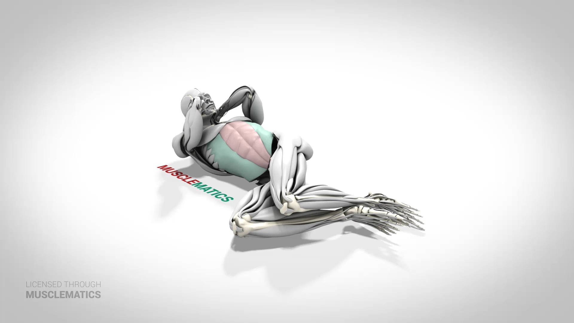 Side Crunch - (View 3) - LEFT