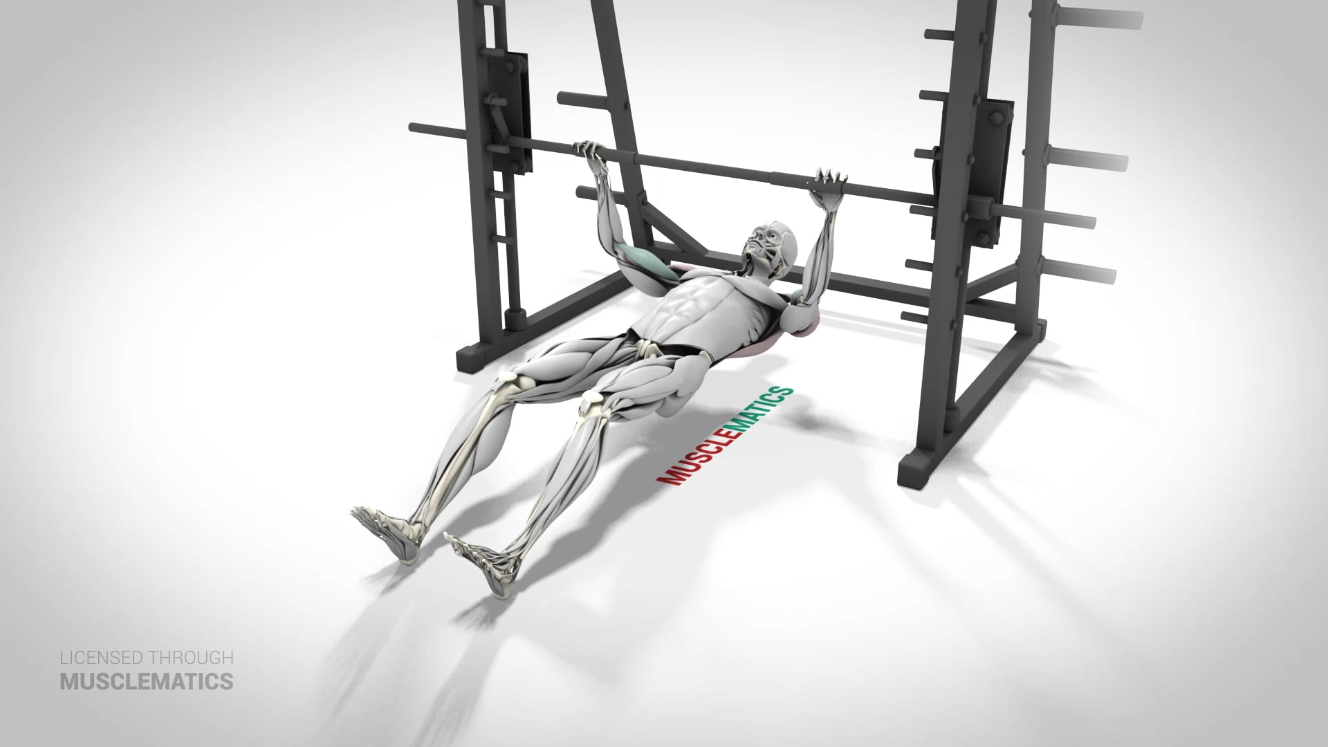 Sliding Side-To-Side Inverted Row - (View 2) - LEFT