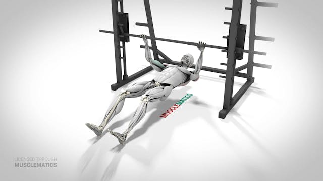 Sliding Side-To-Side Inverted Row - (...