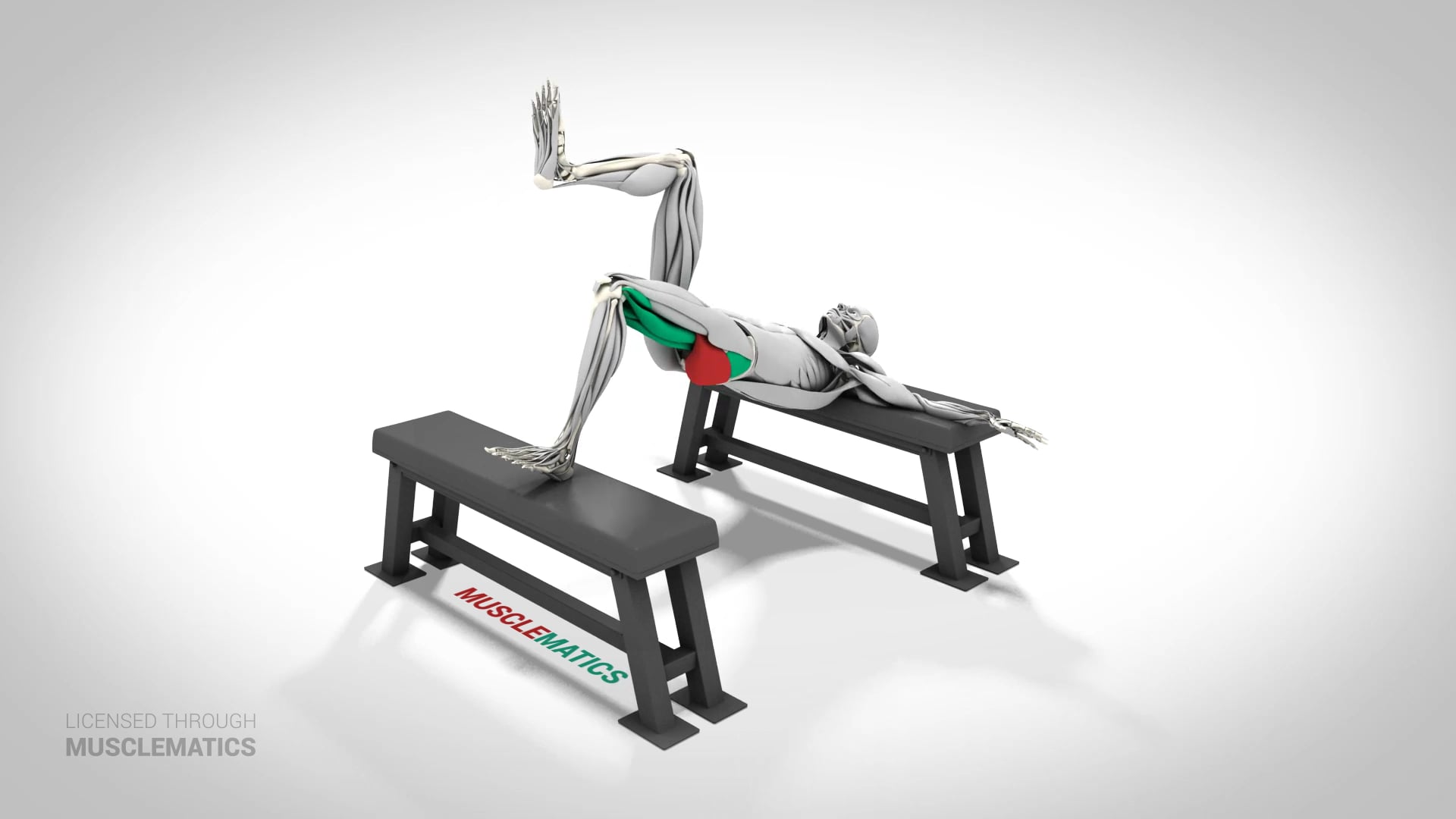 Single-Leg Elevated Hip Thrust - (View 3) - LEFT