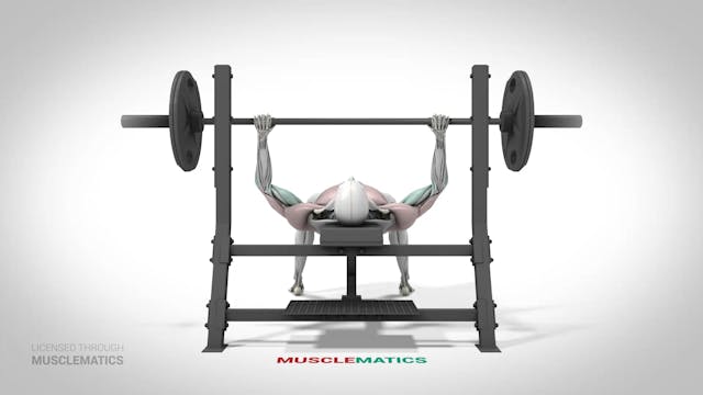 Bench Presses - (View 3)