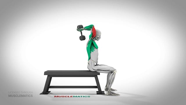 Seated Dumbbell Triceps Extensions - ...